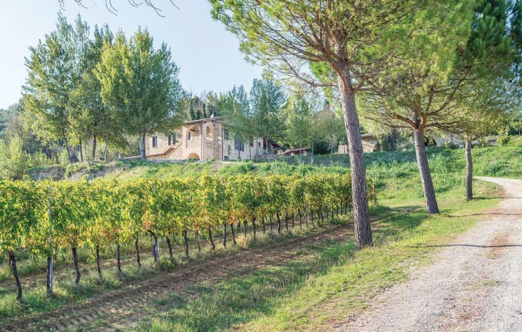 Agriturismo Wine Casale Villa Chiara Torgiano Exterior foto